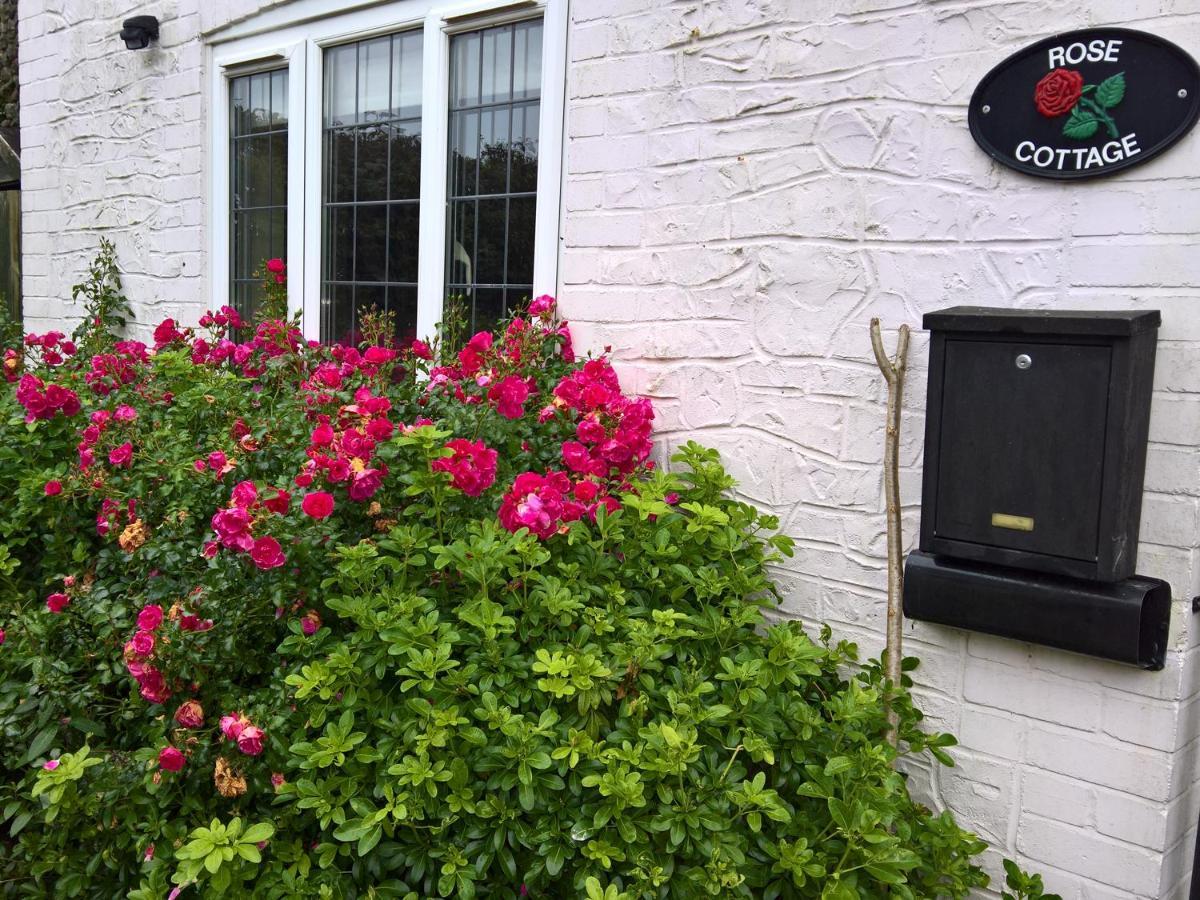 Rose Cottage Чард Экстерьер фото
